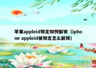 苹果appleid锁定如何解锁（iphone appleid被锁定怎么解锁）