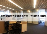 何姓取名字大全男孩两个字（姓何的男孩名字）