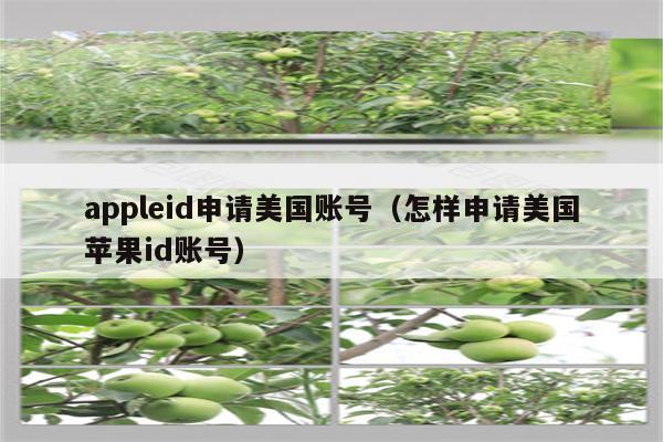 appleid申请美国账号(怎样申请美国苹果id账号)