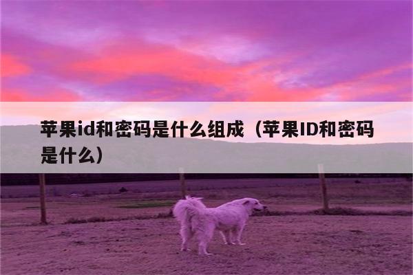 苹果id和密码是什么组成(苹果ID和密码是什么)